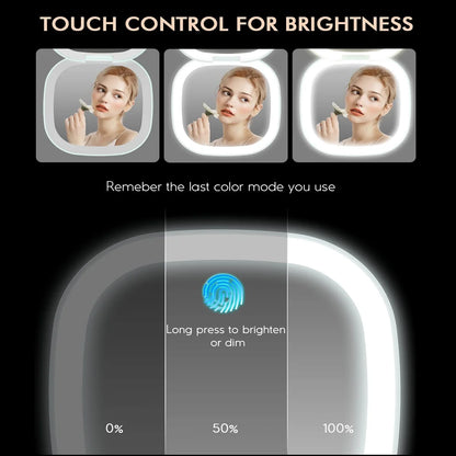 Lighted Travel Makeup Mirror