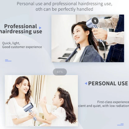 Professional Ionic & Low Noise Hair Dryer